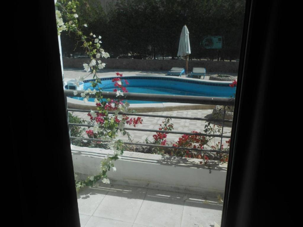Resort Fox El Gouna